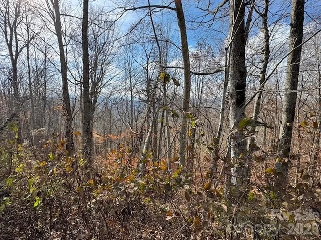 50 Scenic Wolf Ridge Road Mars Hill NC 28754