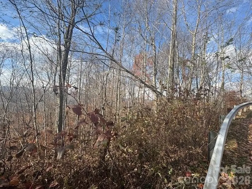 50 Scenic Wolf Ridge Road Mars Hill NC 28754
