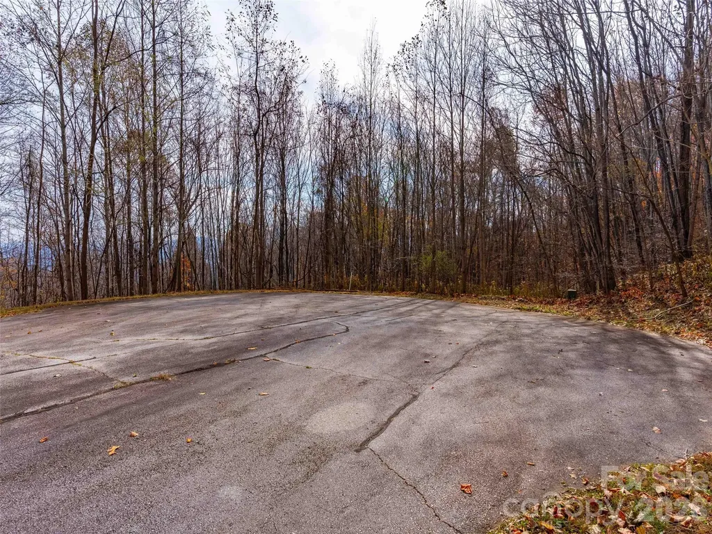 242 Nottingham Drive Mill Spring NC 28756
