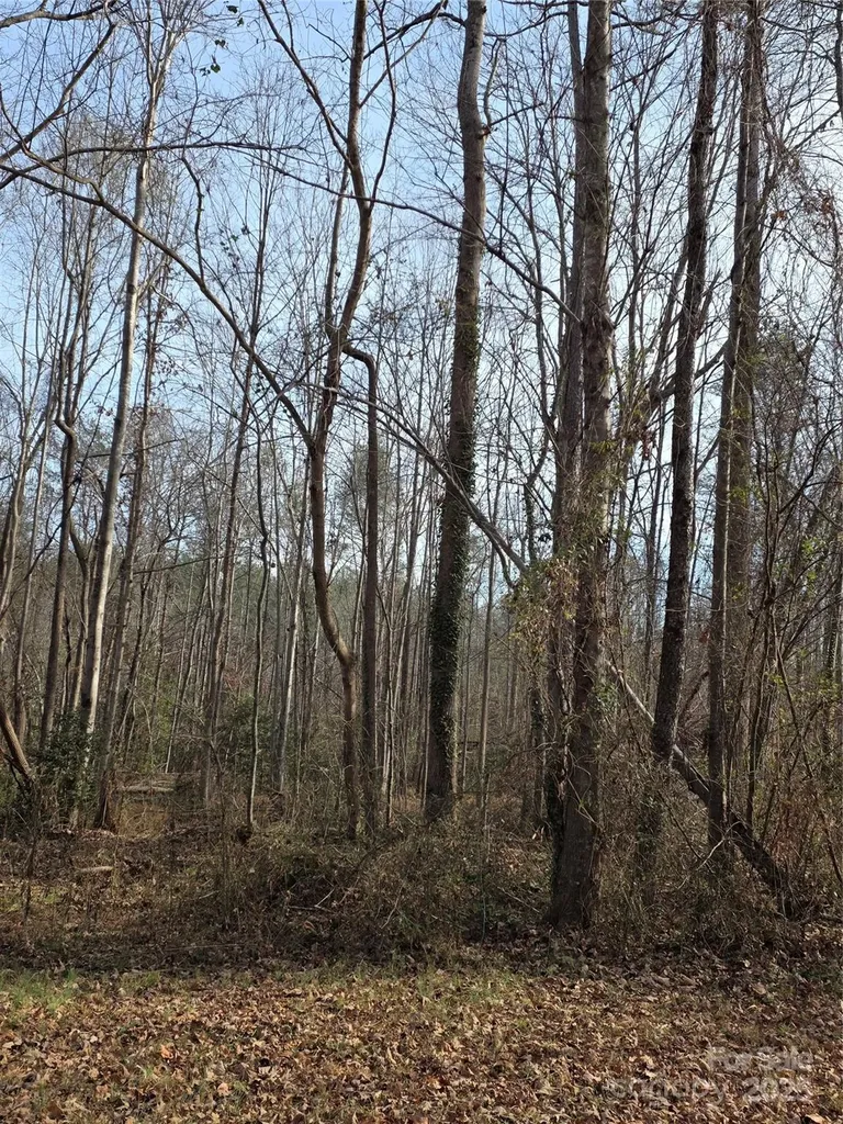 1919 Us 70 Highway E Morganton NC 28655