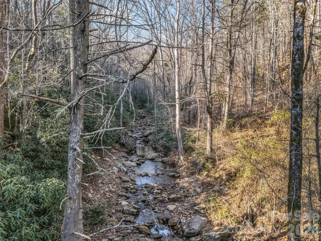 61 Deep Gap Farm Road E Mill Spring NC 28756