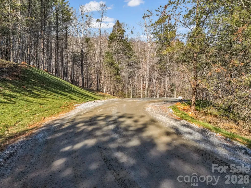 61 Deep Gap Farm Road E Mill Spring NC 28756