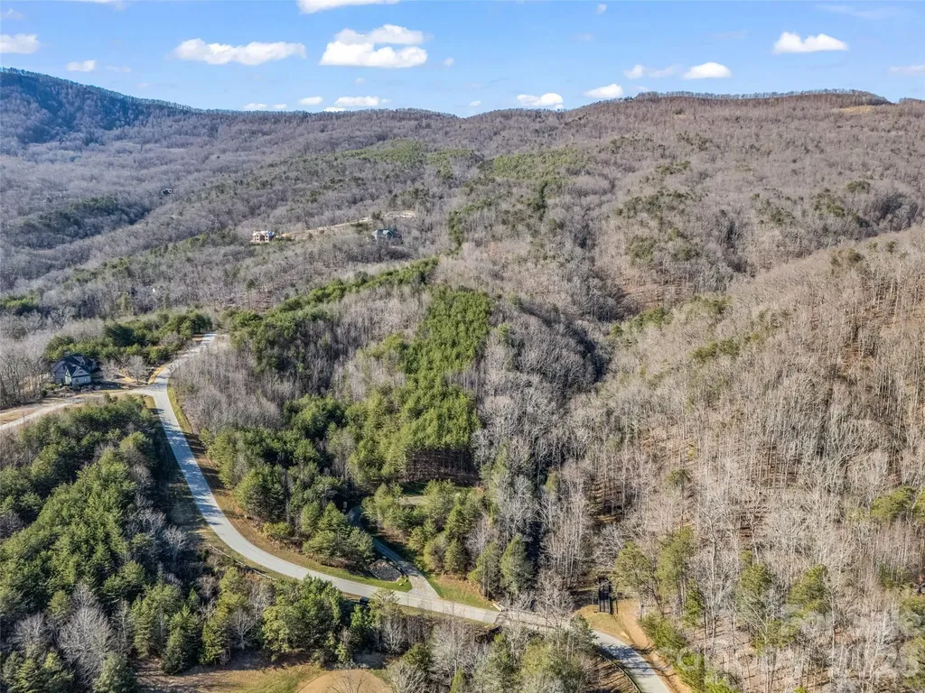 61 Deep Gap Farm Road E Mill Spring NC 28756