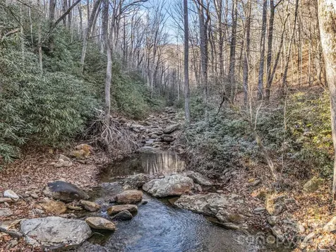 61 Deep Gap Farm Road E Mill Spring NC 28756