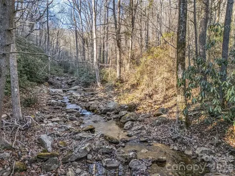61 Deep Gap Farm Road E Mill Spring NC 28756