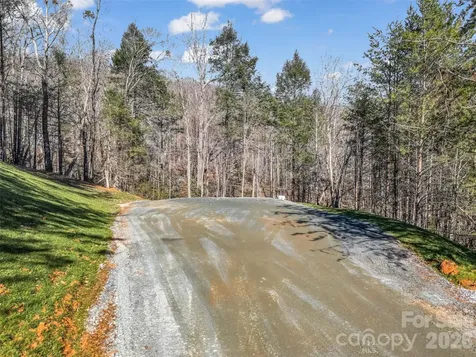 61 Deep Gap Farm Road E Mill Spring NC 28756