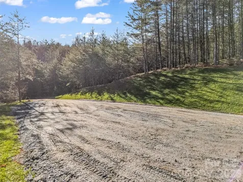 61 Deep Gap Farm Road E Mill Spring NC 28756