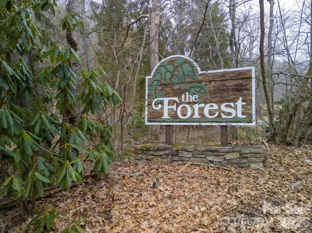00 Seasons Drive Clyde NC 28721