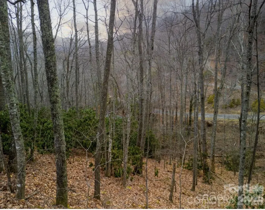 00 Seasons Drive Clyde NC 28721