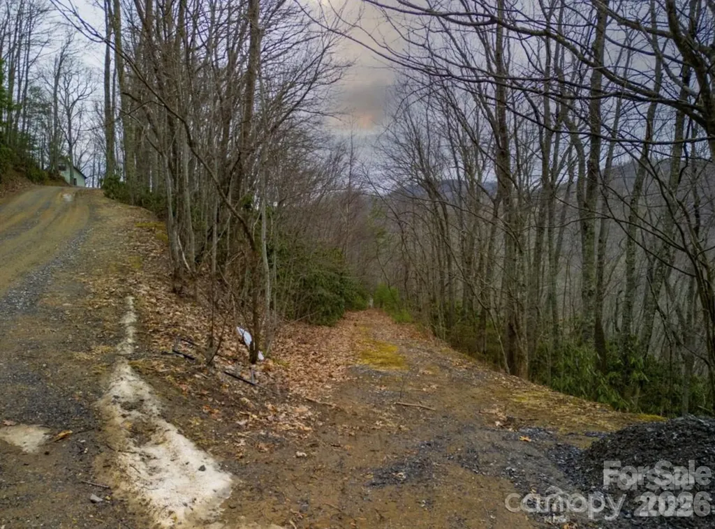 00 Seasons Drive Clyde NC 28721