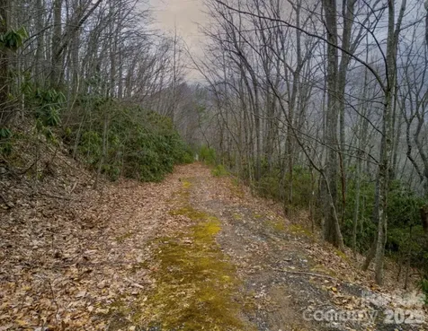 00 Seasons Drive Clyde NC 28721