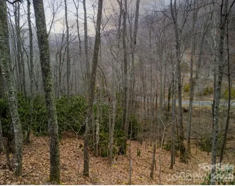 00 Seasons Drive Clyde NC 28721