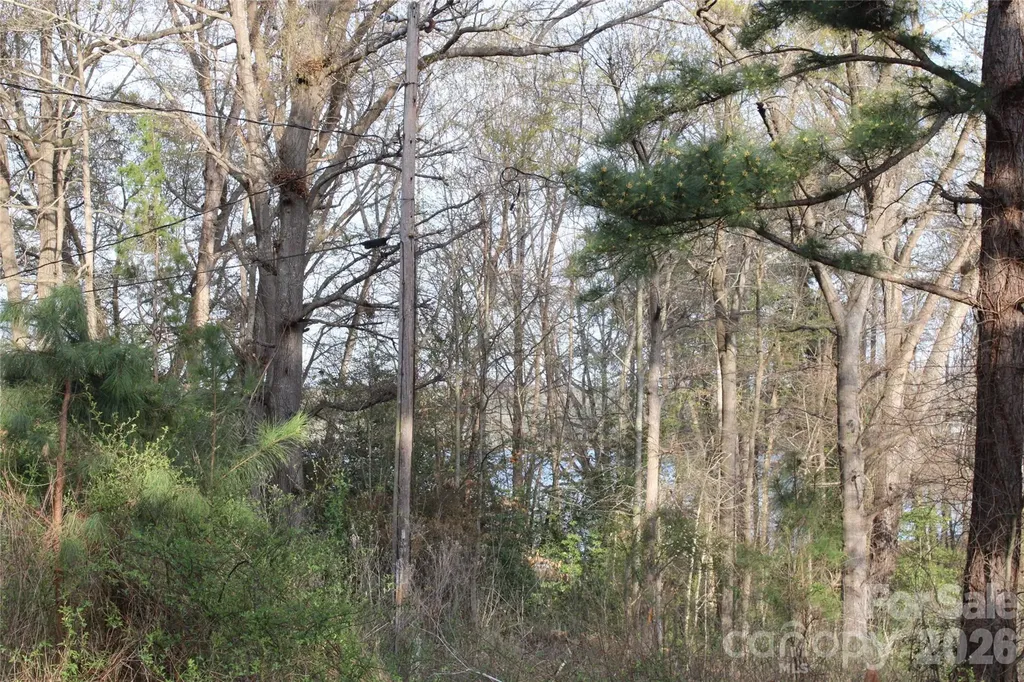 Lot 16 Lake Front Drive Catawba NC 28609