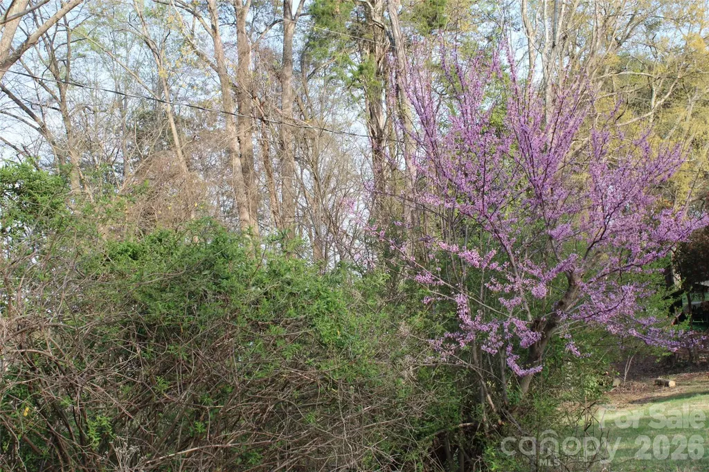 Lot 16 Lake Front Drive Catawba NC 28609