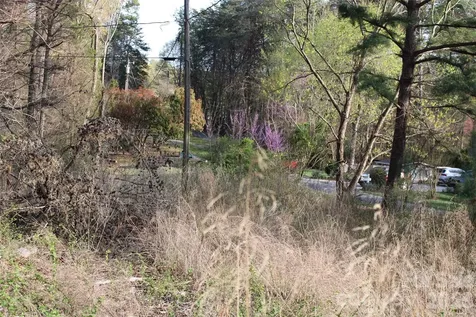 Lot 16 Lake Front Drive Catawba NC 28609