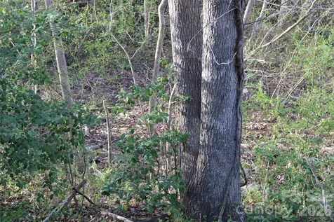 Lot 16 Lake Front Drive Catawba NC 28609
