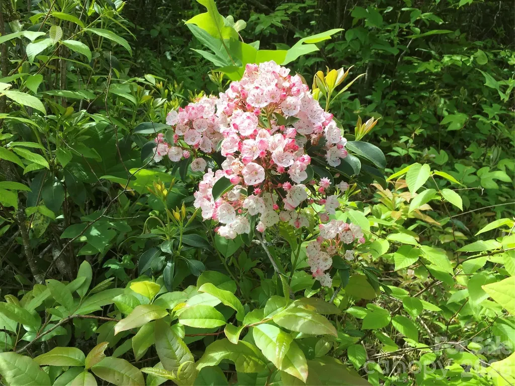 73 The Old Run Road Fairview NC 28730