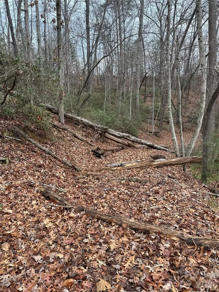 00 Jackson Cove Road W Mill Spring NC 28756