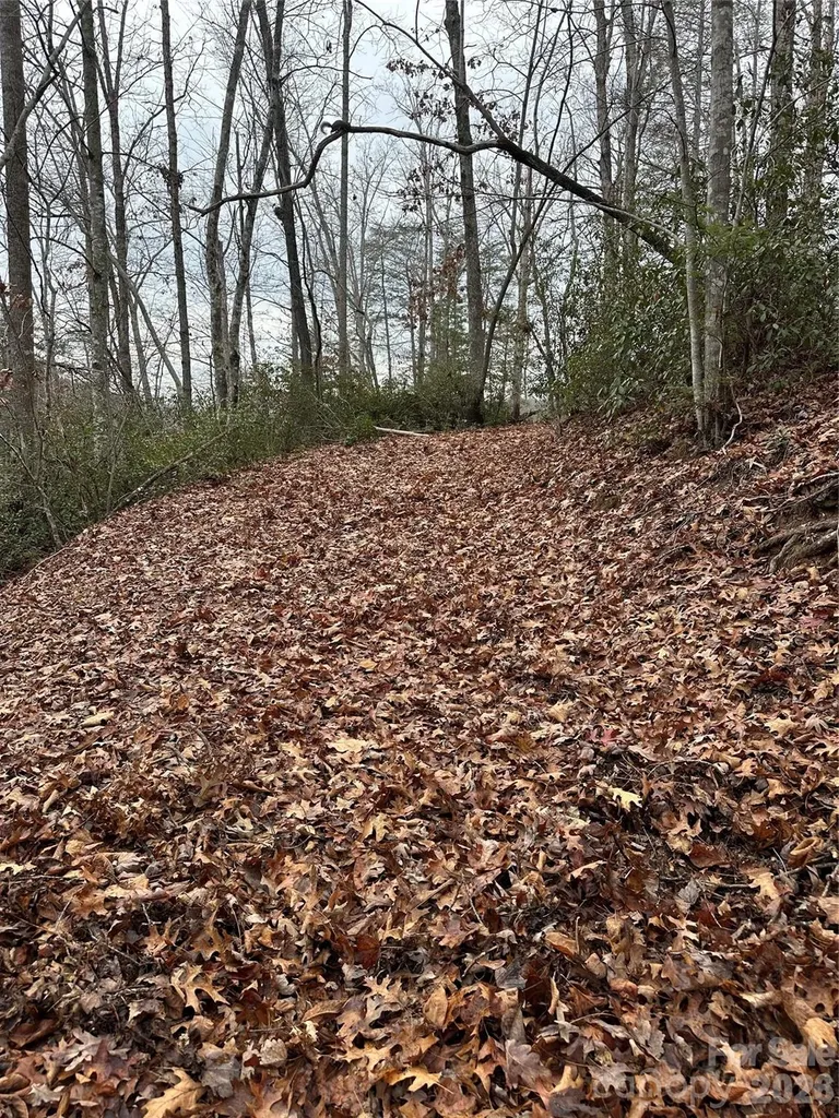 2 Jackson Cove Road W Mill Spring NC 28756