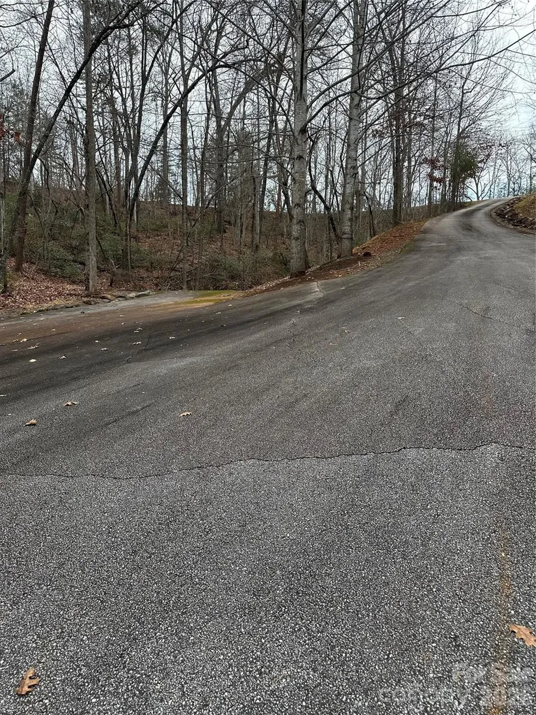 00 Jackson Cove Road W Mill Spring NC 28756