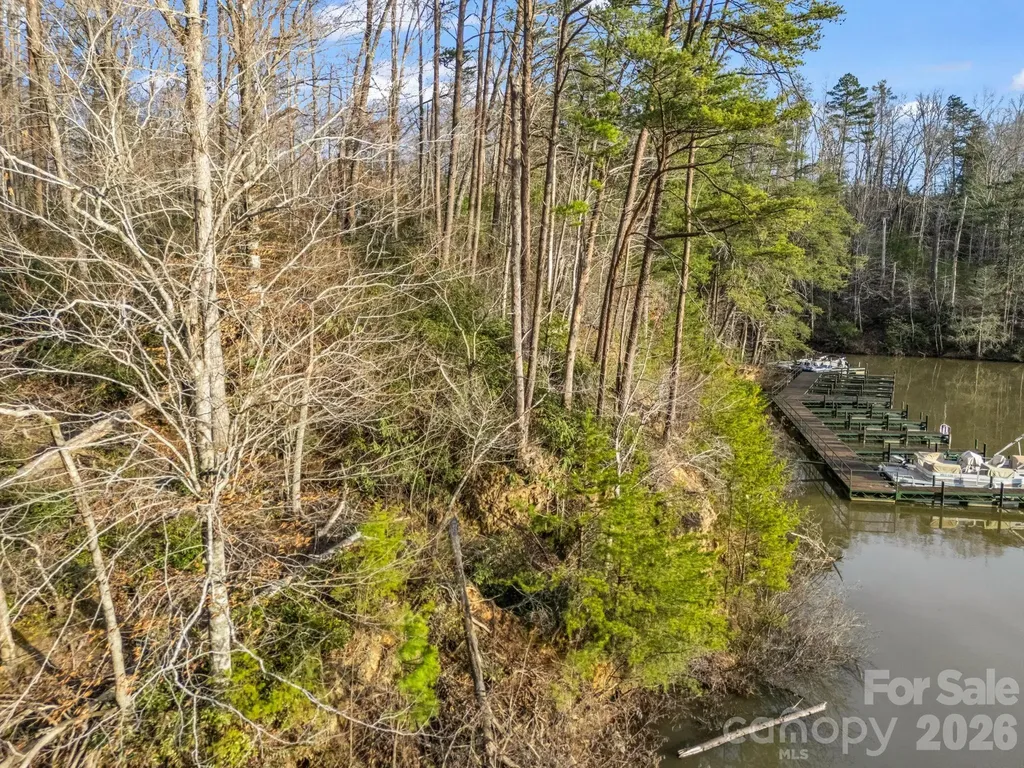 2 Jackson Cove Road W Mill Spring NC 28756