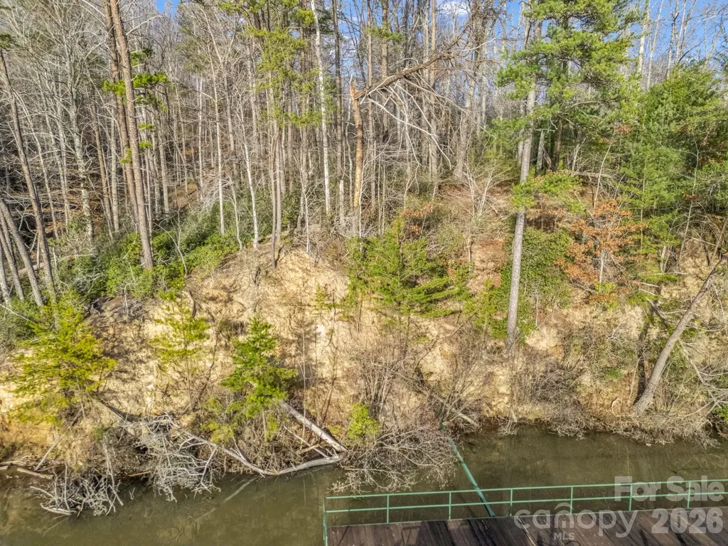 2 Jackson Cove Road W Mill Spring NC 28756