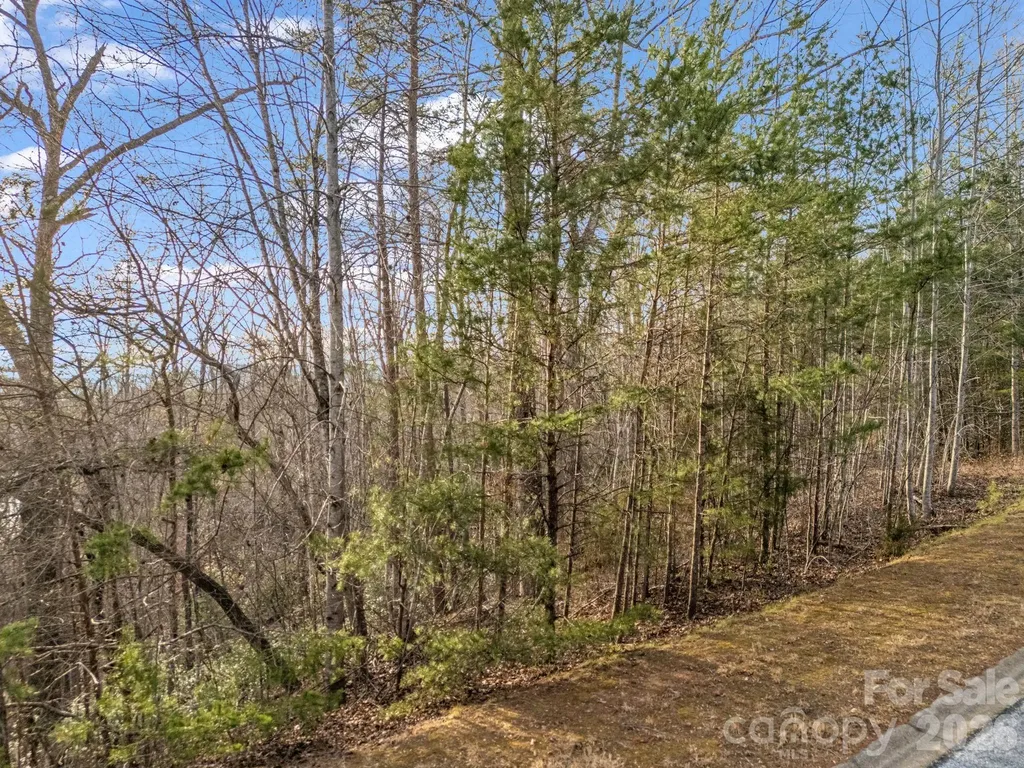 00 Jackson Cove Road W Mill Spring NC 28756
