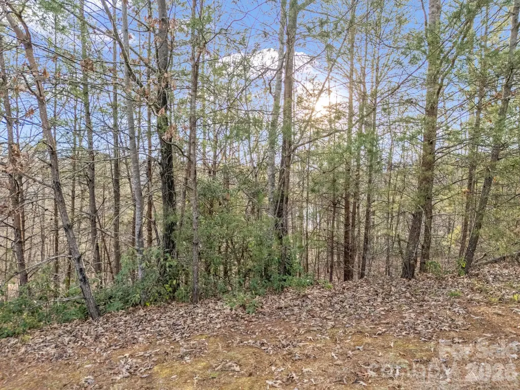 00 Jackson Cove Road W Mill Spring NC 28756