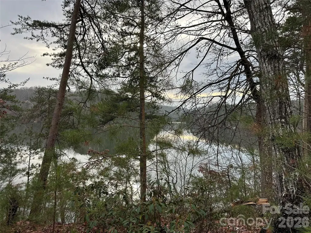 2 Jackson Cove Road W Mill Spring NC 28756