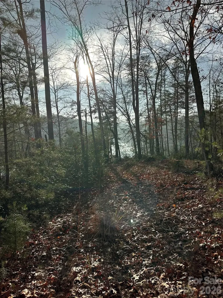 2 Jackson Cove Road W Mill Spring NC 28756