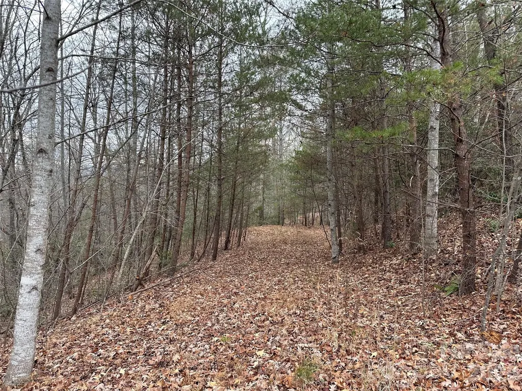2 Jackson Cove Road W Mill Spring NC 28756