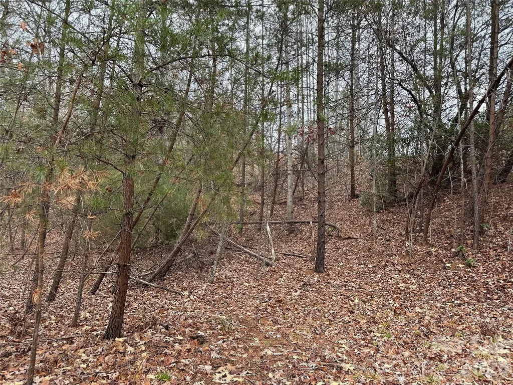 2 Jackson Cove Road W Mill Spring NC 28756