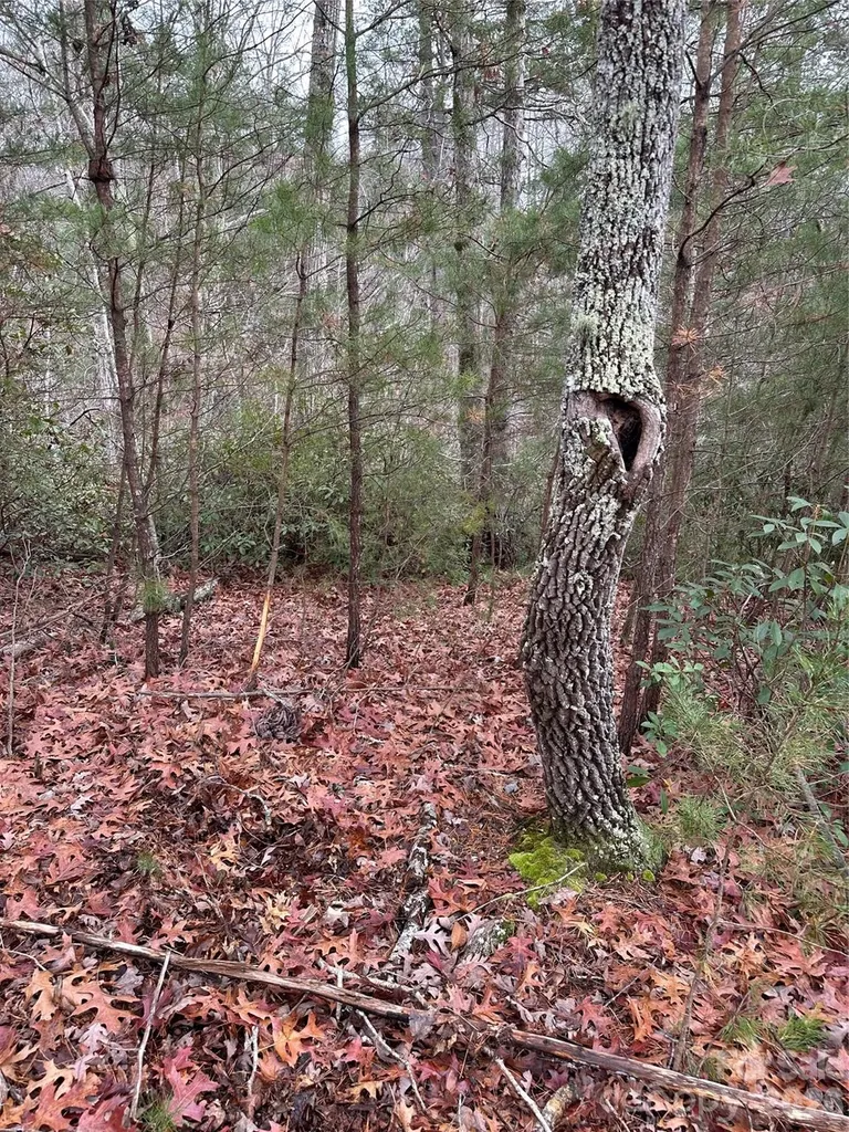 2 Jackson Cove Road W Mill Spring NC 28756
