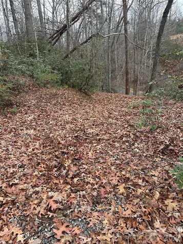 00 Jackson Cove Road W Mill Spring NC 28756