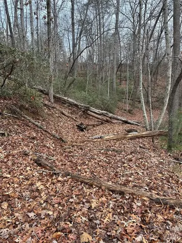 2 Jackson Cove Road W Mill Spring NC 28756