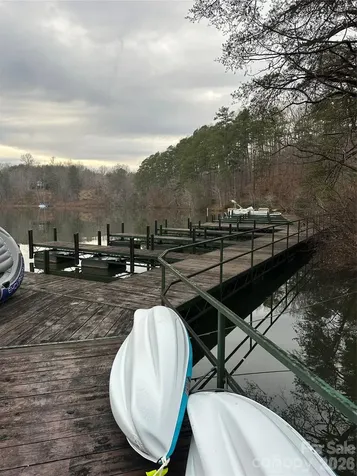 2 Jackson Cove Road W Mill Spring NC 28756