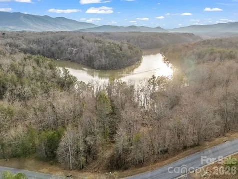 2 Jackson Cove Road W Mill Spring NC 28756