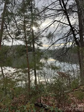 2 Jackson Cove Road W Mill Spring NC 28756