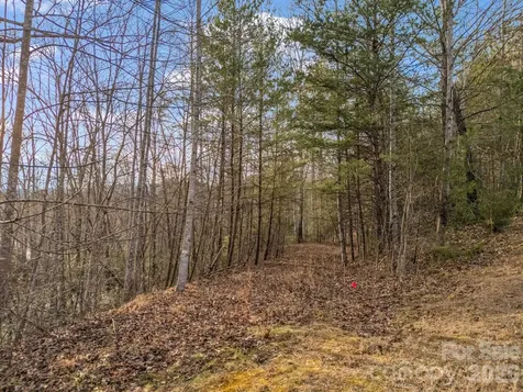 2 Jackson Cove Road W Mill Spring NC 28756
