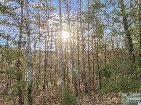 2 Jackson Cove Road W Mill Spring NC 28756