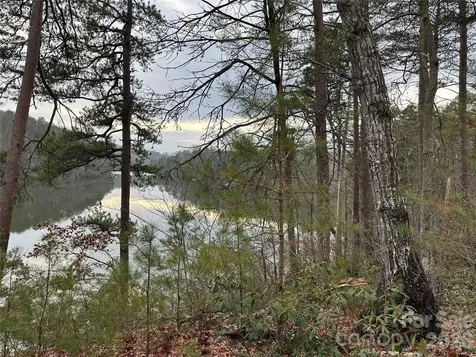 2 Jackson Cove Road W Mill Spring NC 28756