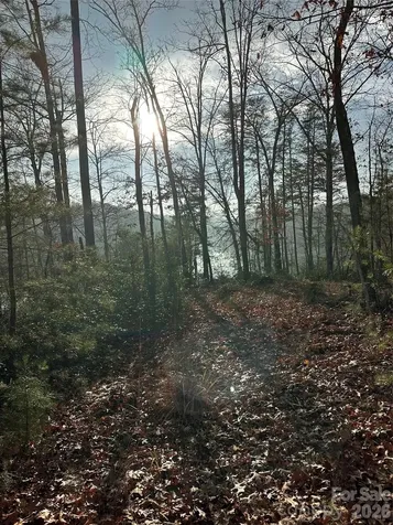 00 Jackson Cove Road W Mill Spring NC 28756