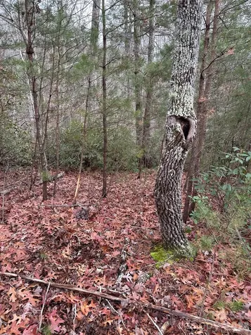 00 Jackson Cove Road W Mill Spring NC 28756