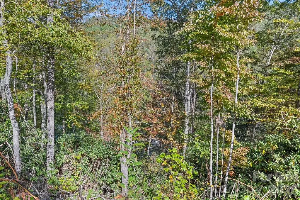16 Harleys Cove Waynesville NC 28785