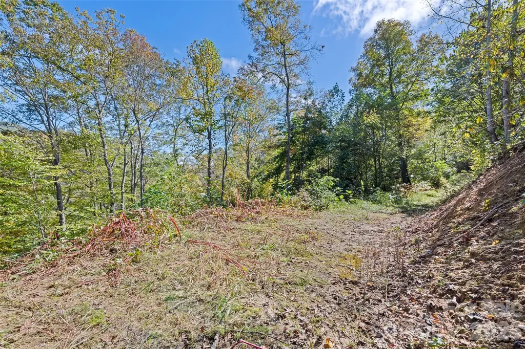 16 Harleys Cove Waynesville NC 28785