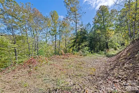 16 Harleys Cove Waynesville NC 28785