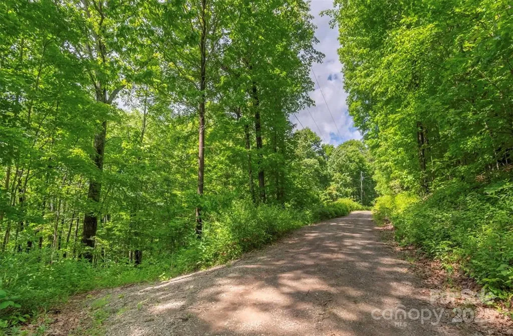 99999 Sara Ridge Road Waynesville NC 28786