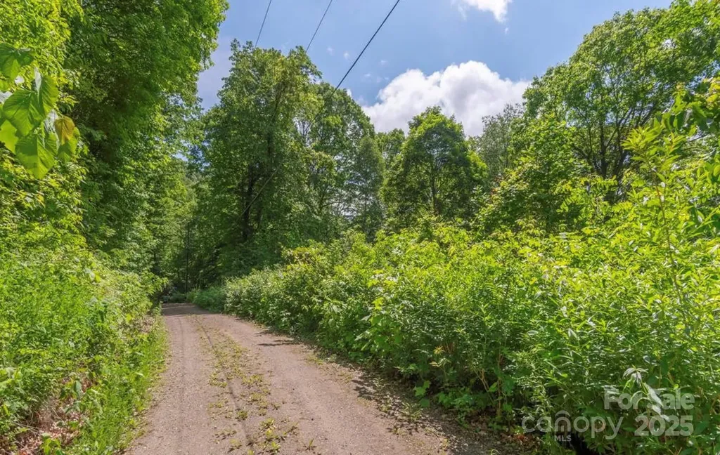 99999 Sara Ridge Road Waynesville NC 28786