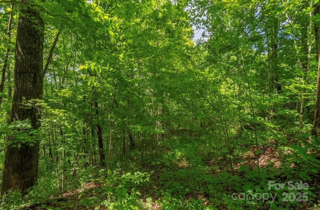 99999 Sara Ridge Road Waynesville NC 28786