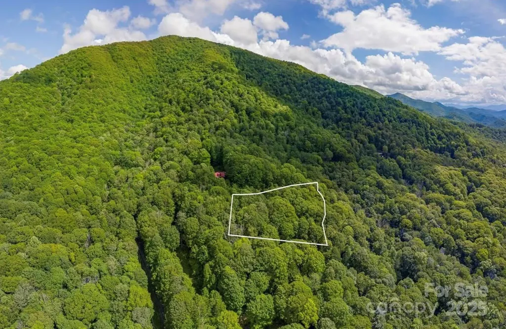 99999 Sara Ridge Road Waynesville NC 28786